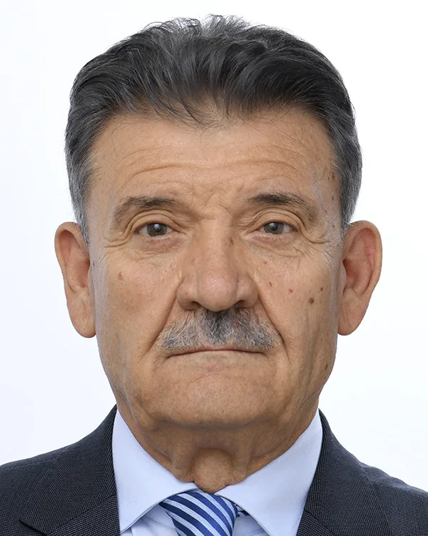 Mircea-Gheorghe Hava